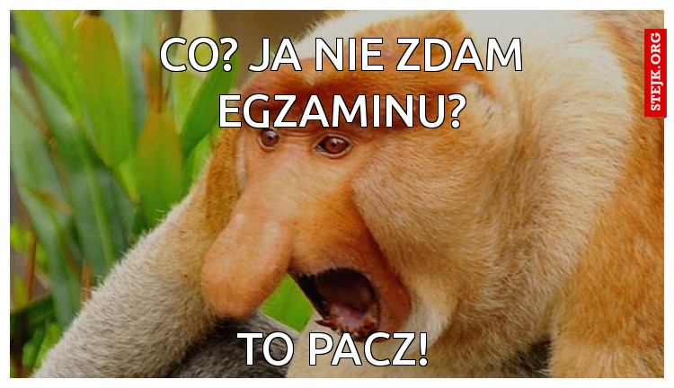 CO? JA NIE ZDAM EGZAMINU?
