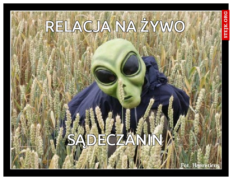RELACJA NA ŻYWO