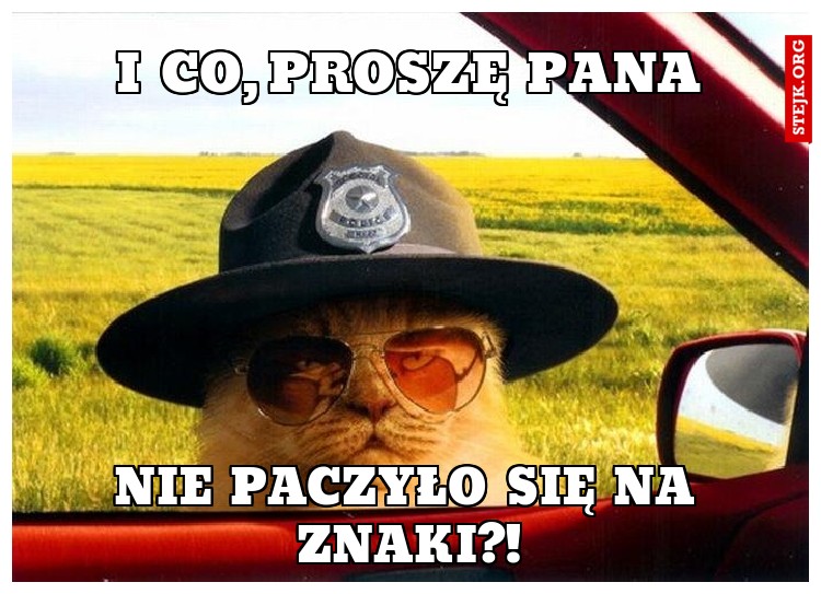 I co, proszę pana