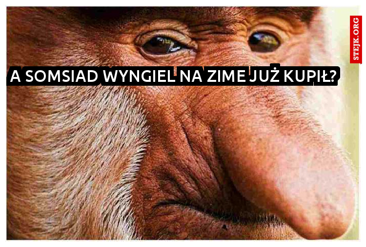 A somsiad wyngiel na zime już kupił?