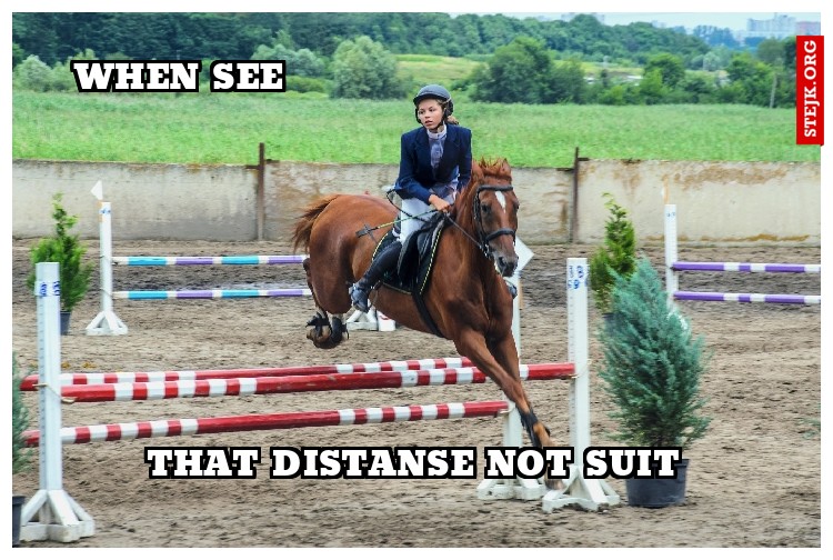 Horse jumping