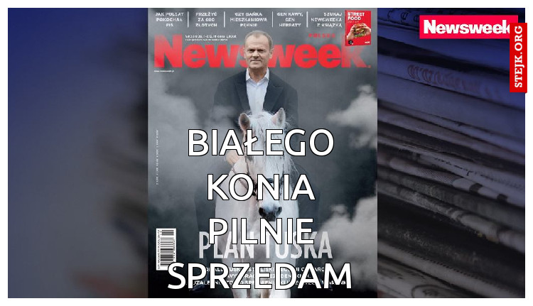 Białego konia pilnie sprzedam