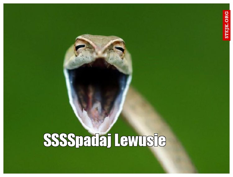 SSSSpadaj Lewusie 
