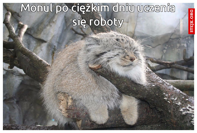 Monul po ciężkim dniu uczenia się roboty