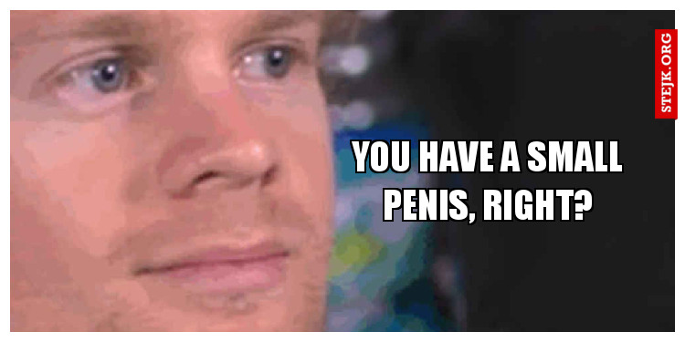 You have a small penis, right?