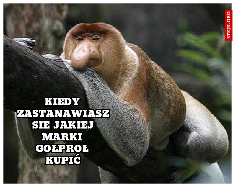 Kiedy zastanawiasz sie jakiej marki gołproł kupić