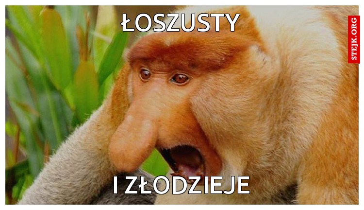 łoszusty