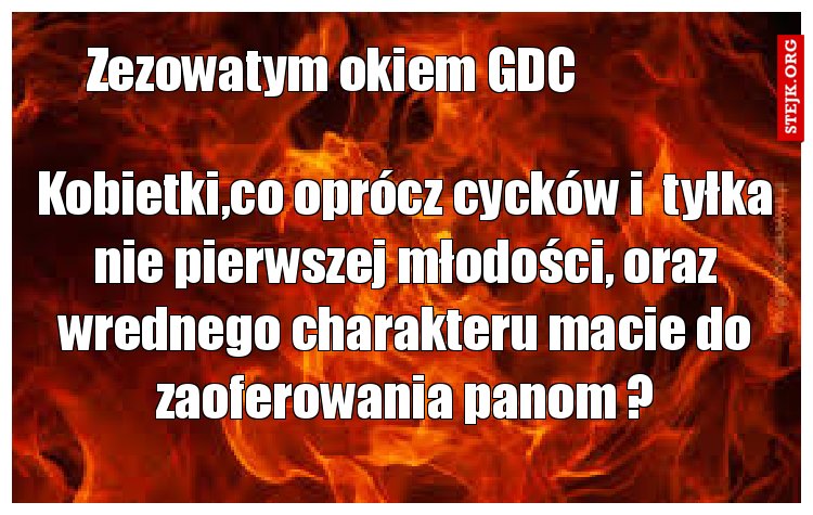 Kobietki,co oprócz cycków i  tyłka nie pierwszej młodości, oraz wrednego charakteru macie do zaoferowania panom ?