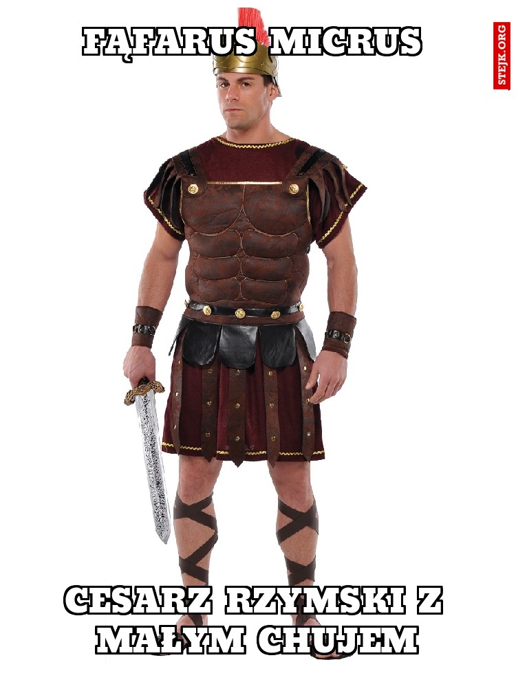fąfarus micrus