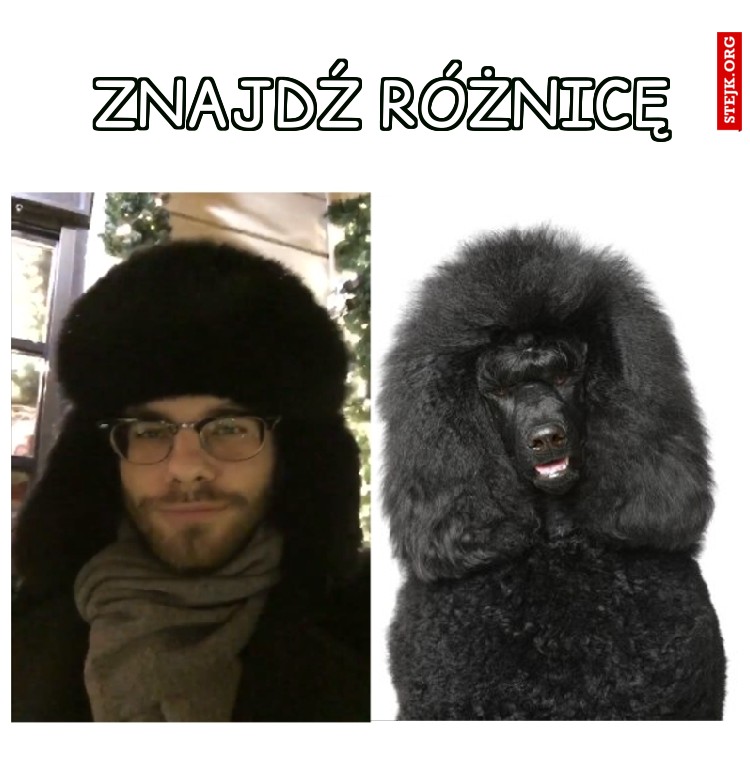 ZNAJDŹ RÓŻNICĘ