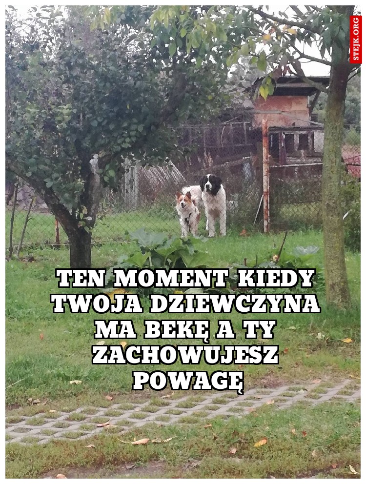 Ten moment kiedy twoja dziewczyna ma bekę a ty zachowujesz powagę