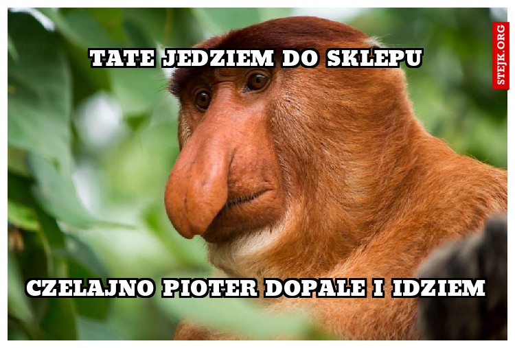 TAte jedziem do sklepu