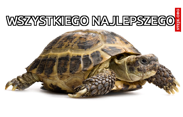 Wszystkiego Najlepszego