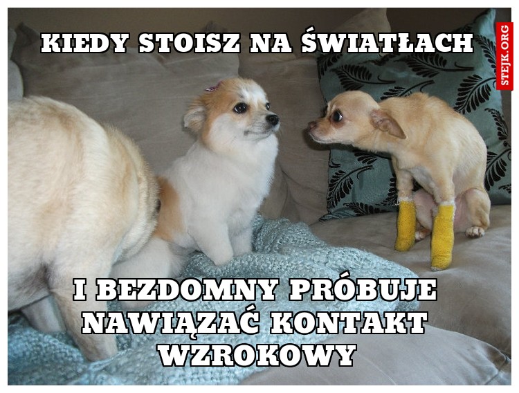 Kiedy stoisz na światłach