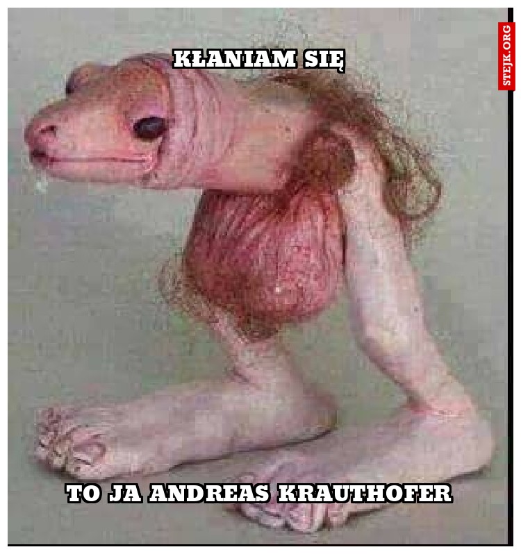 kłaniam się