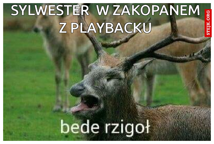sylwester  w zakopanem z playbacku