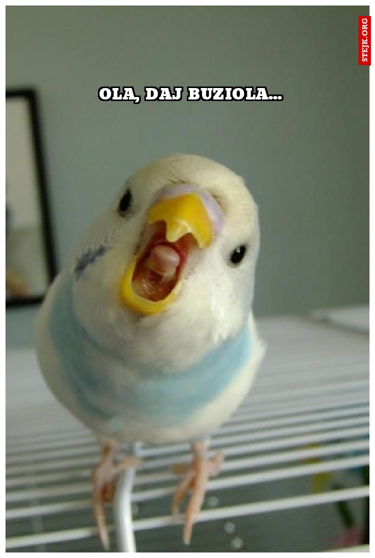 OLA, daj buziola...