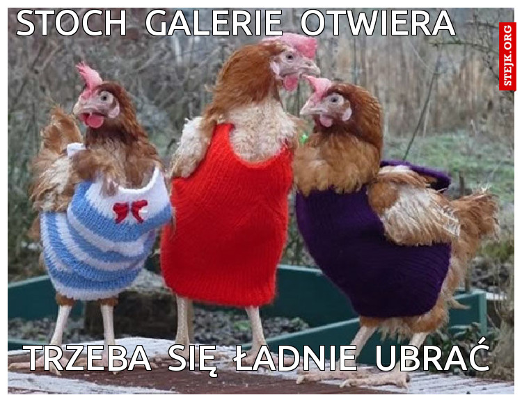 stoch  galerie  otwiera