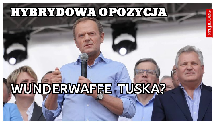hybrydowa opozycja 
