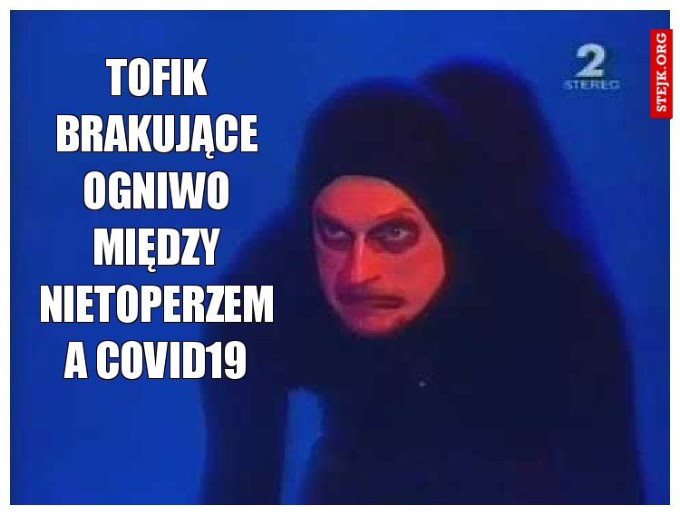 Tofik brakujące ogniwo między nietoperzem a covid19