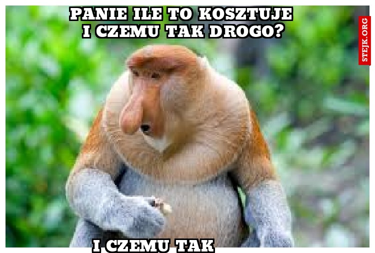 PANIE ILE TO KOSZTUJE