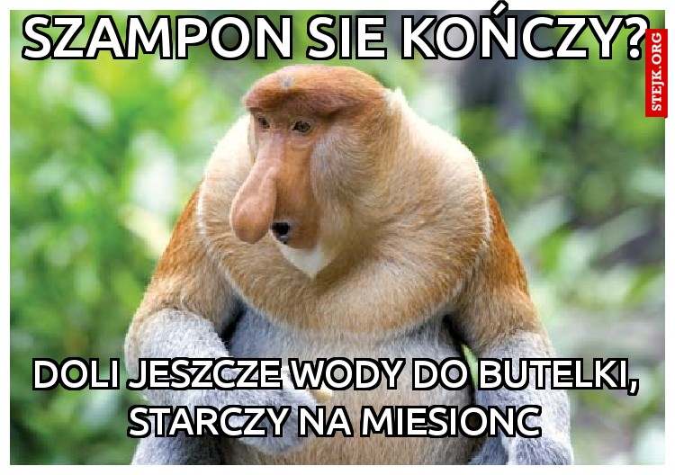 szampon sie kończy?