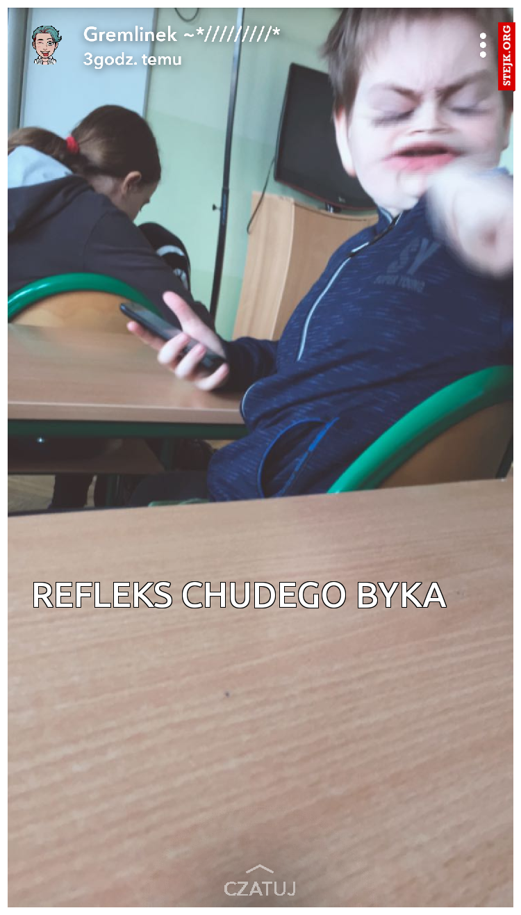 Refleks chudego byka