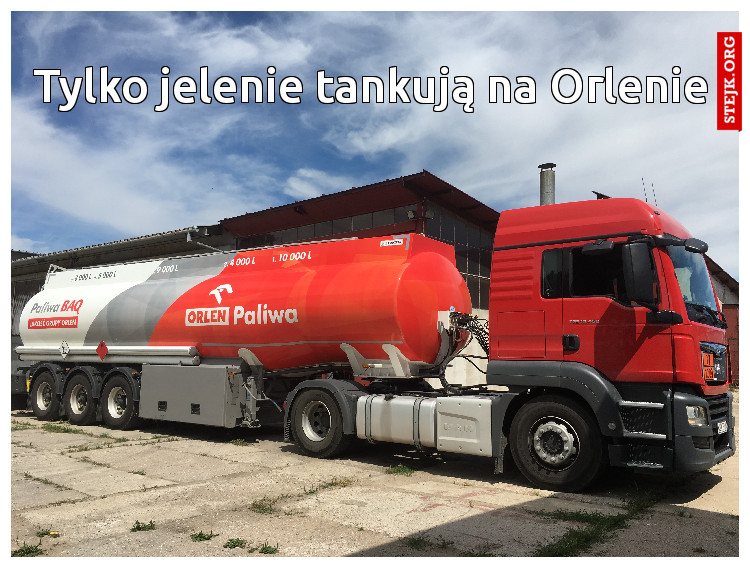 Tylko jelenie tankują na Orlenie