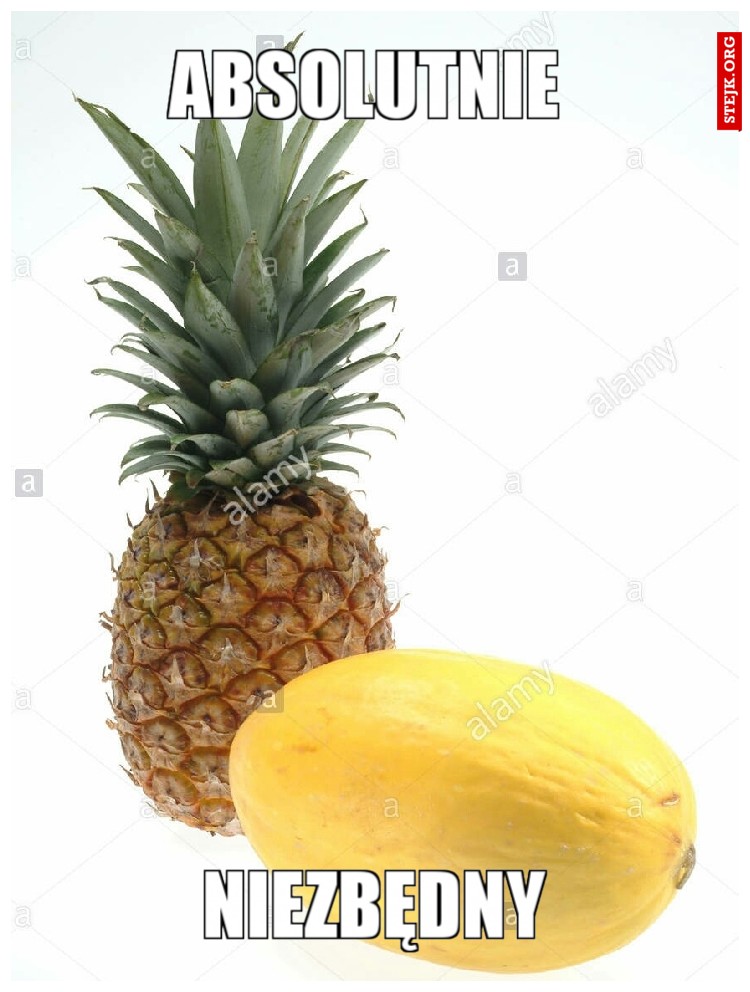 Absolutnie 