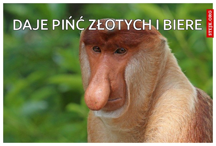 Daje pińć złotych i biere