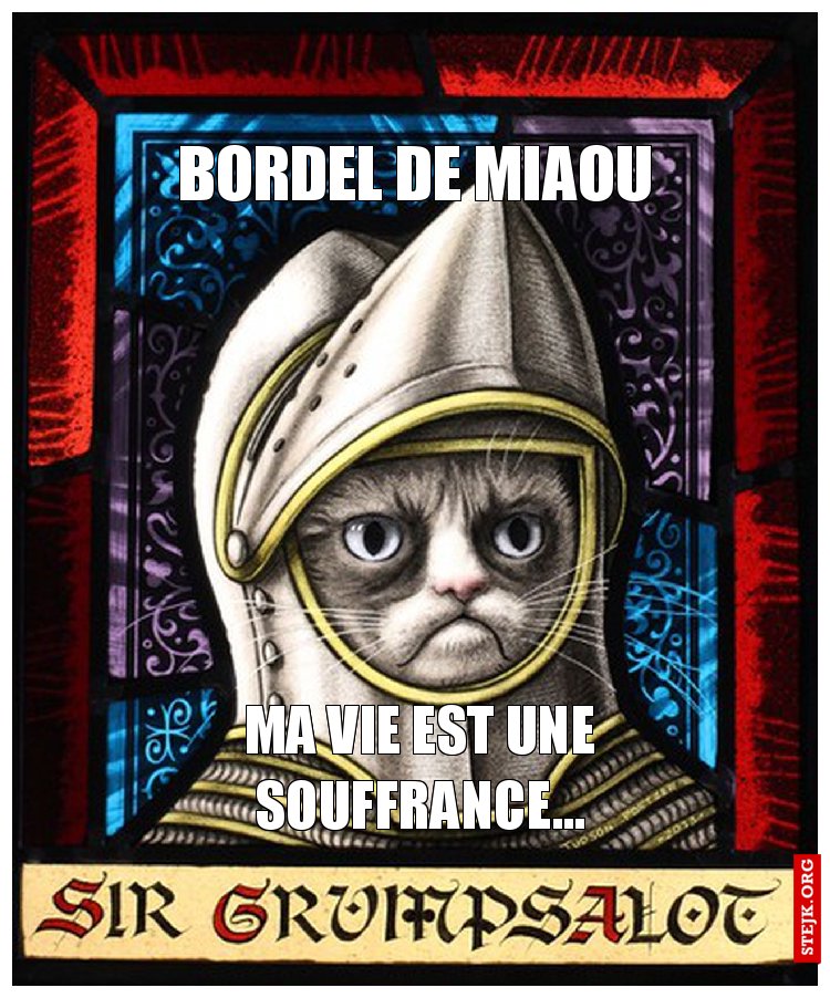 Bordel de miaou