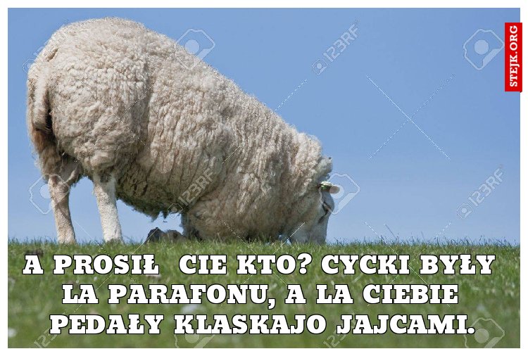 A Prosił  cie kto? Cycki były la parafonu, a la ciebie pedały klaskajo jajcami.