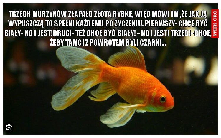 Trzech murzynów złapało złotą rybkę, więc mówi im ,że jak ją wypuszczą to spełni każdemu po życzeniu. Pierwszy- chce być biały- no i jest!Drugi- też chce być biały! - no i jest! Trzeci- chce, żeby tamci z powrotem byli czarni…