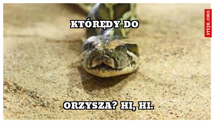 Którędy do 