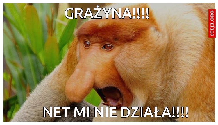 grażyna!!!!