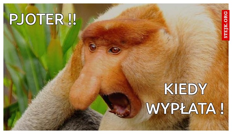 Pjoter !!
