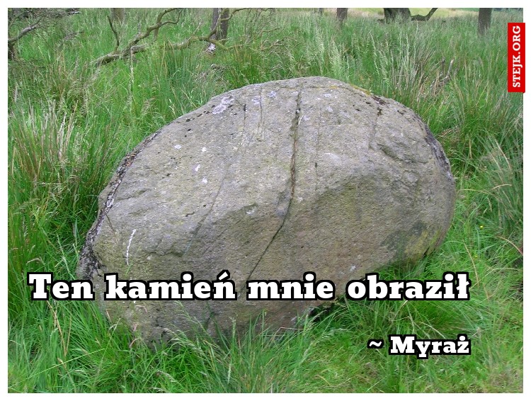 Ten kamień mnie obraził