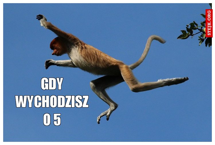 Gdy wychodzisz o 5