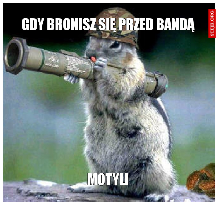 GDY BRONISZ SIĘ PRZED BANDĄ