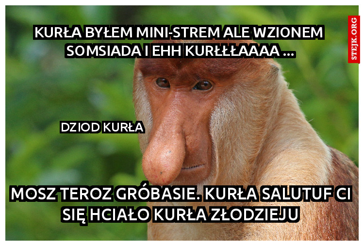 kurła byłem mini-strem ale wzionem  somsiada i ehh kurłłłaaaa ...