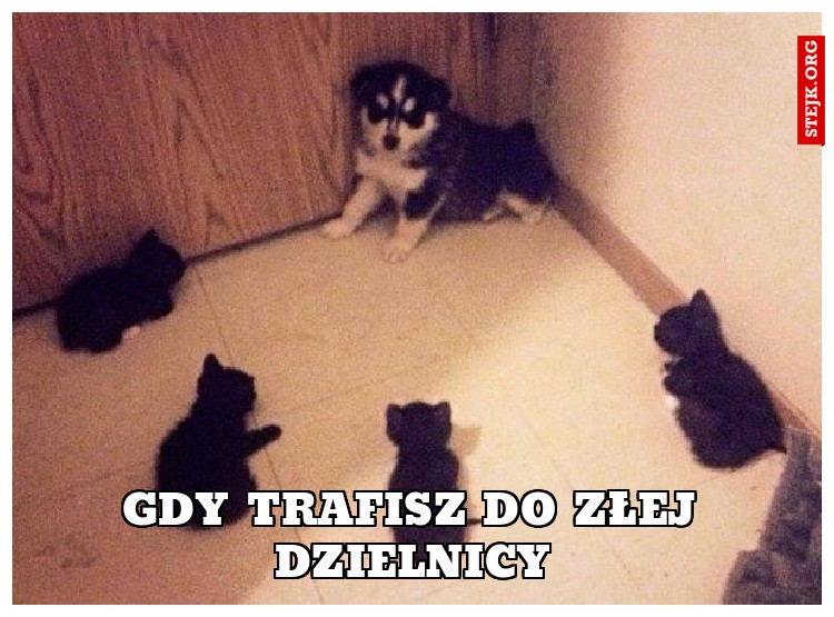 Gdy trafisz do złej dzielnicy