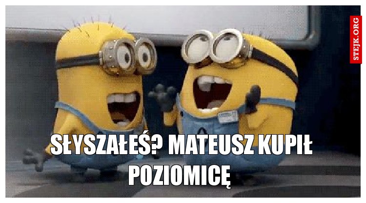 Słyszałeś? Mateusz kupił poziomicę 