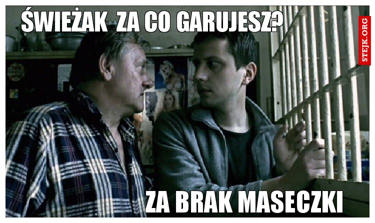 świeżak  za co garujesz?