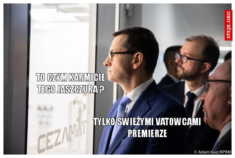 TO CZYM KARMICIE TEGO JASZCZURA ?