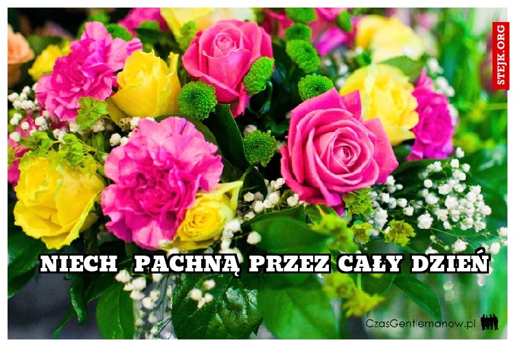 niech  pachną przez cały dzień