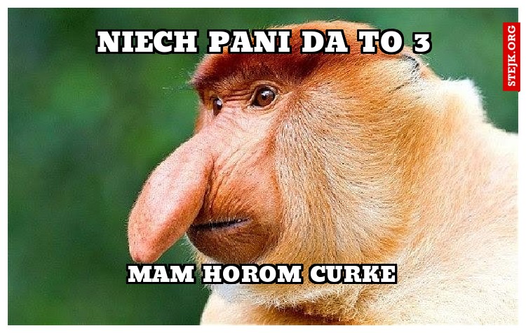 NIech pani da to 3