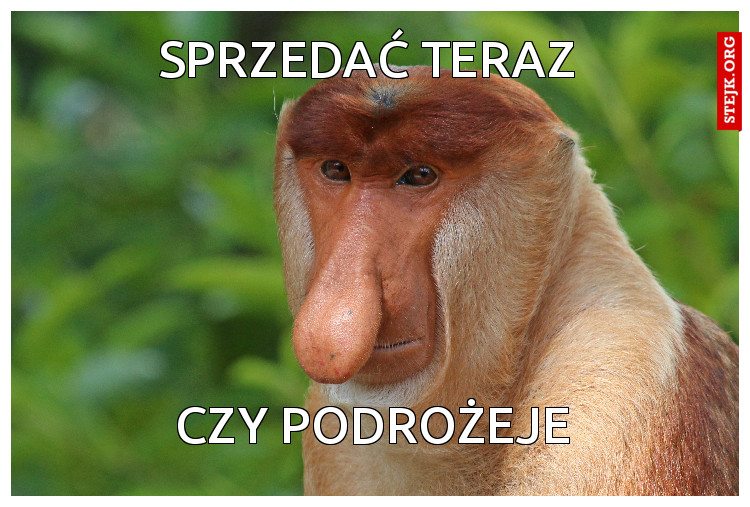SPRZEDAĆ TERAZ