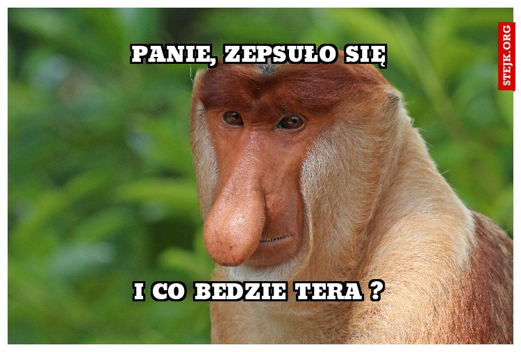 PANIE, ZEPSUŁO SIĘ