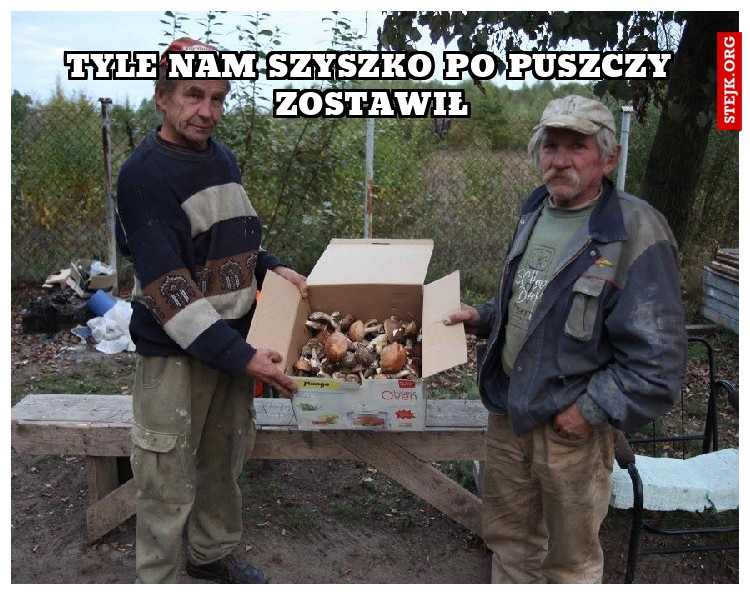 Tyle nam szyszko po puszczy zostawił