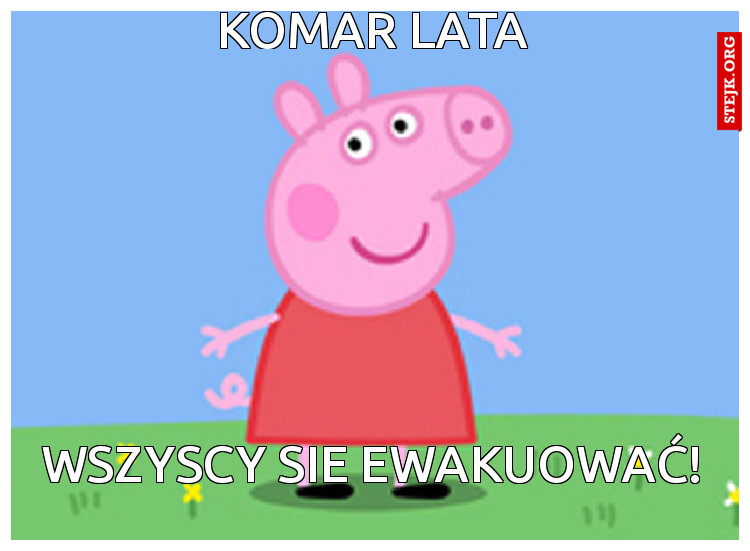 KOMAR LATA